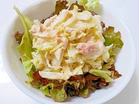ツナ・きゃべつ・酢玉ねぎの コールスロー